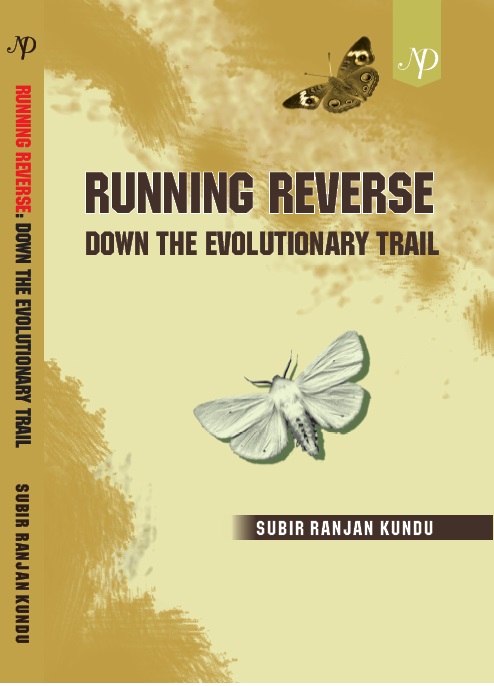 Running Reverse Cover.jpg